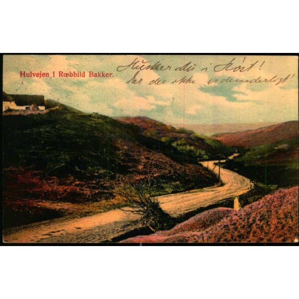 Hulvejen i Rebild Bakker - Eneret 3005 - Brugt