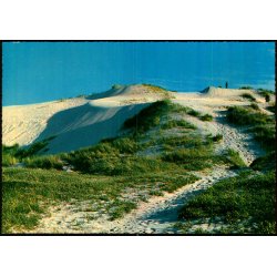 Raabjerg Mile  - Nielsens Bogh. 43 620/13  - Ubrugt