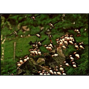 Lundar - Frerne - T. Andersen u/n - Ubrugt