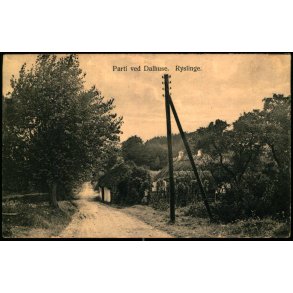 Parti ved Dalhuse - Ryslinge -  Frederik Torn�e 169 - Brugt