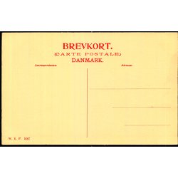 Ribe set fra Bjerrum - W.K.F. 5167 - Ubrugt