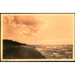 Lise leje - Albert jensens Bogh. 38490