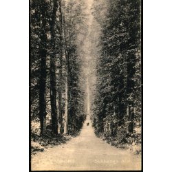 Fredensborg - Sukkenes All - Stender 6249