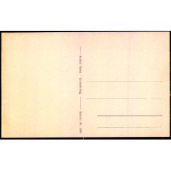  Tisvilde - Foedgaarden - Rudolf Olsen 2333 - Ubrugt