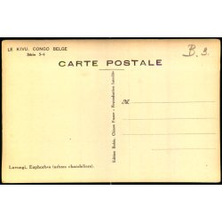 Congo Belge - Euphorbes - Fotokort 5 - 4 - Ubrugt