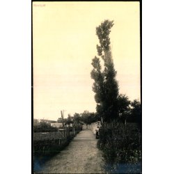 Ebeltoft - Fotokort Edv. Monsrud u/n - Ubrugt