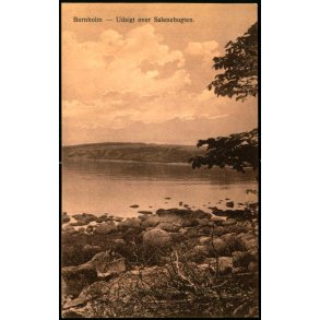 Bornholm - Udsigt over Salenebugten - Frits Srensen 703 - Ubrugt