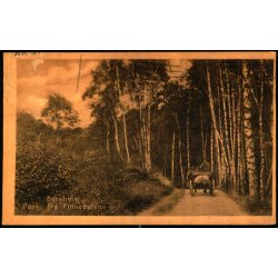 Bornholm - Parti fra Finnedalen - Colbergs Bogh. u/n - Brugt