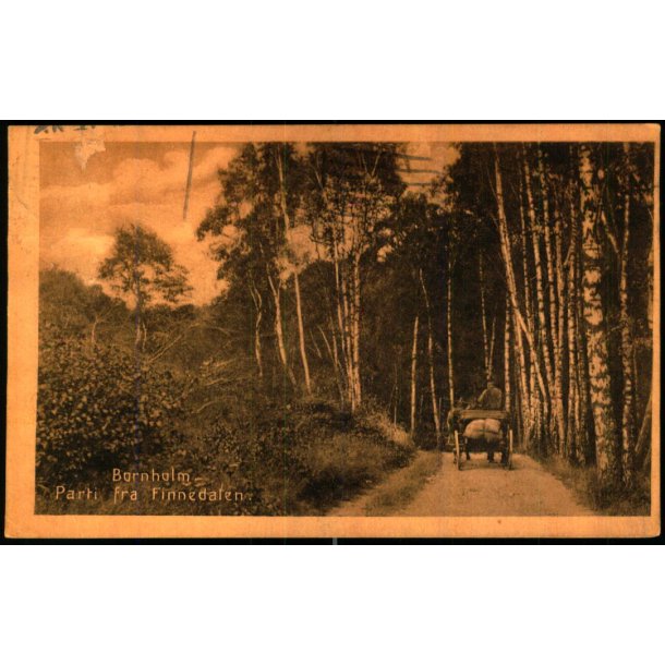 Bornholm - Parti fra Finnedalen - Colbergs Bogh. u/n - Brugt