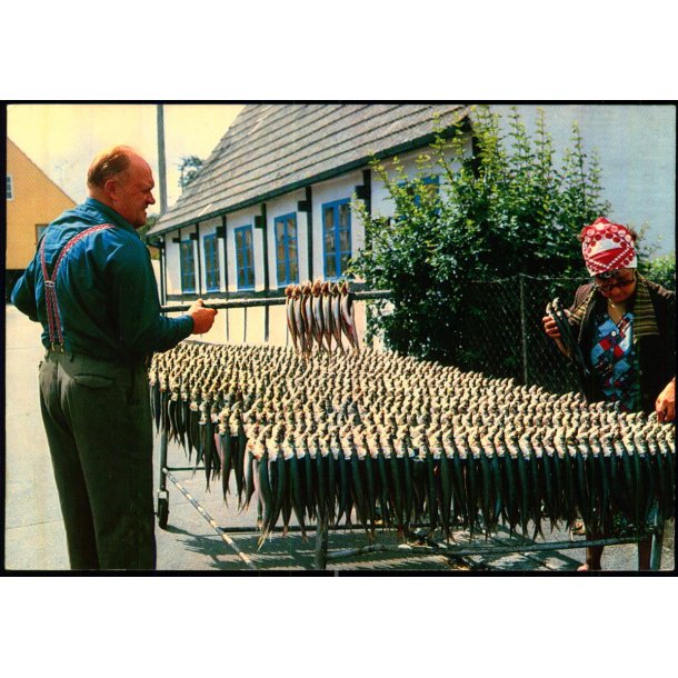 Bornholm - rsdale - W. Dams Bogh. 6000 - Brugt