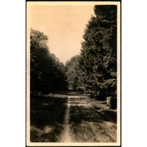 Tisvilde Hegn - Brantebjerg - Stationskiosken 102 - Ubrugt