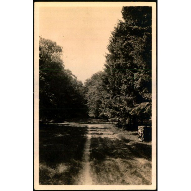 Tisvilde Hegn - Brantebjerg - Stationskiosken 102 - Ubrugt