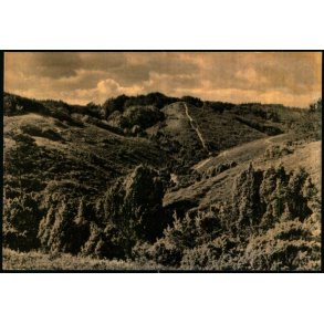 Gryden - Rebild Bakker - Eneret 98790 - Ubrugt