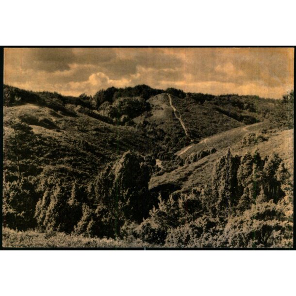 Gryden - Rebild Bakker - Eneret 98790 - Ubrugt