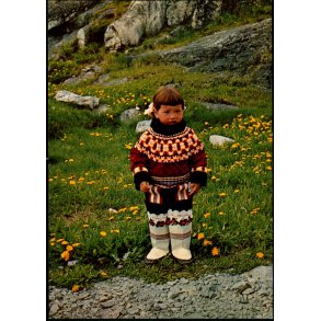 Forr i Sydgrnland - KGH 93 - Ubrugt