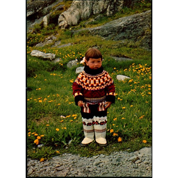 Forr i Sydgrnland - KGH 93 - Ubrugt