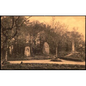 Parti fra Skibelund Krat - Stender 20434 - Ubrugt