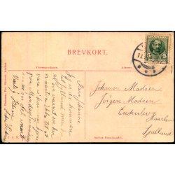 Partier fra Udbynedre - J.J.N. 4323 - Brugt