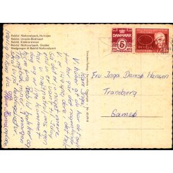 Rebild Nationalpark - Hulvejen - Stender  40 619/8 - Brugt