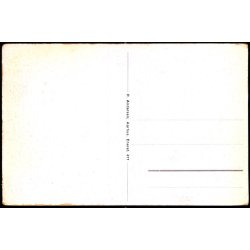 Parti fra V. Skerninge  - P. Andersen 417 - Ubrugt