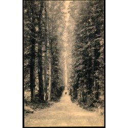 Fredensborg - Sukkenes All - Stender 6249