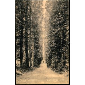 Fredensborg - Sukkenes All - Stender 6249