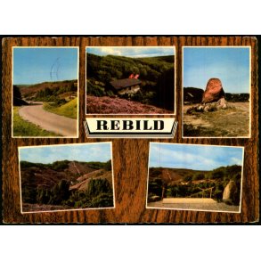 Rebild Nationalpark - Hulvejen - Stender  40 619/8 - Brugt