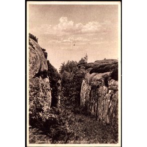 Bornholm - Dybedal Paradisbakker - Frits Srensens Bogh. 751 - Brugt