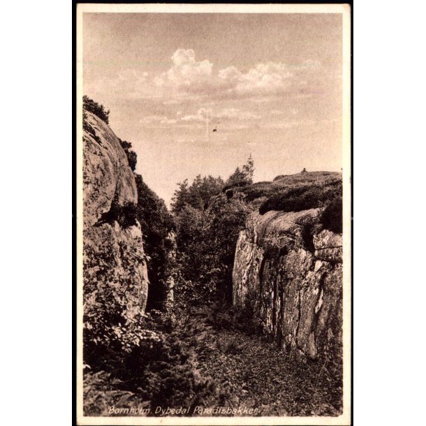 Bornholm - Dybedal Paradisbakker - Frits Srensens Bogh. 751 - Brugt