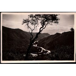 Congo Belge - La Riviere Ruzizi - Vue de la automobile Costermansville  - Fotokort 4 - 5 - Ubrugt