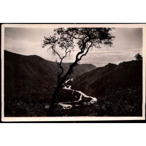 Congo Belge - La Riviere Ruzizi - Vue de la automobile Costermansville  - Fotokort 4 - 5 - Ubrugt