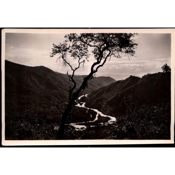 Congo Belge - La Riviere Ruzizi - Vue de la automobile Costermansville  - Fotokort 4 - 5 - Ubrugt