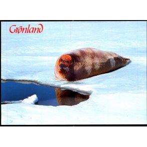 Klapmyds - Aune Forlag F. 8509 - Brugt