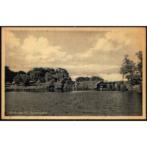 Parti fra St. Jyndevad - Langer Andersen 2858 - Ubrugt