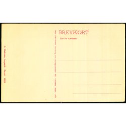 Skibelund - Festpladsen - N. P�skesen 18019 - Ubrugt