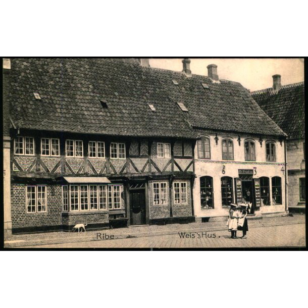 Ribe - Weiss Hus - Stender 1890 - Ubrugt