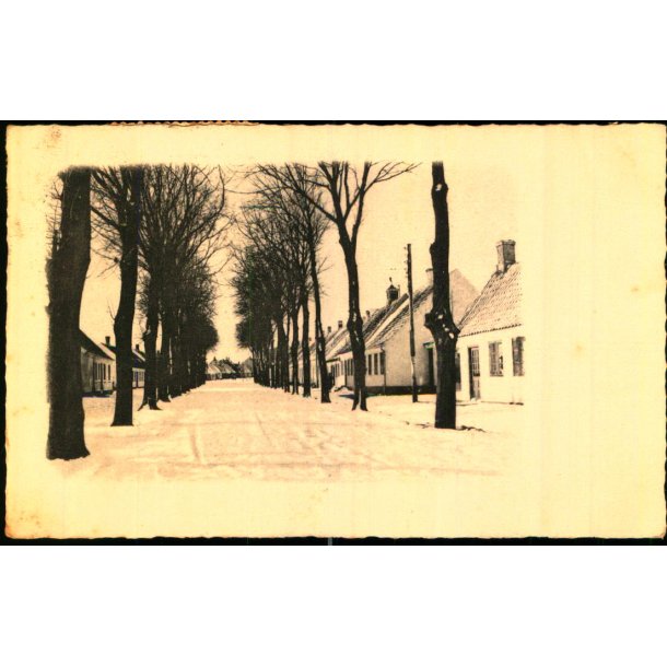 Lindealle - Nyk�bing Sj. - G. Rasmussens Bogh. 64623 - Brugt