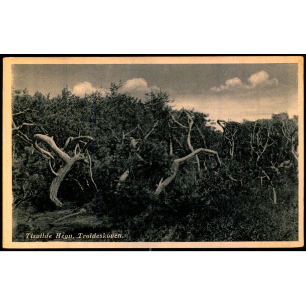 Tisvilde Hegn - Troldeskoven - Rudolf Olsen 9284 - Ubrugt