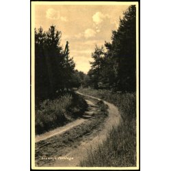 Liseleje Plantage - E. Bernild 84242 - Ubrugt