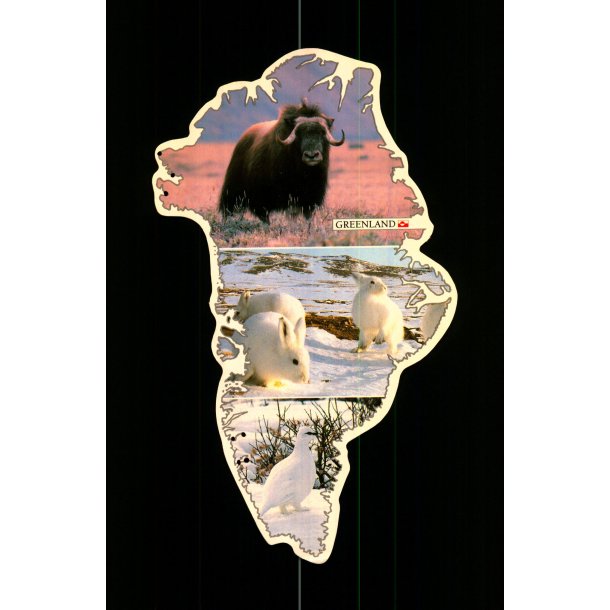 Grnland - Rov 20 - Brugt