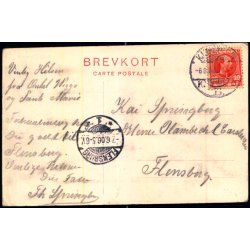 Kbenhavn - Tivolis Indgang - Sk. B. &amp; Kf. 1529 - Brugt