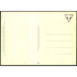 Nationalmuseet - Top Card 9971 - Ubrugt
