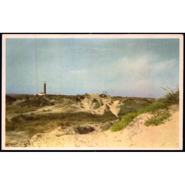 Skagen - Klitter ved Skagen Fyr - Nielsens 2 - Ubrugt