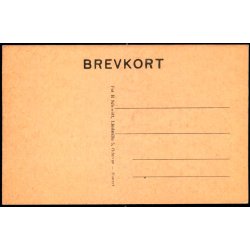 Parti fra Vester Skerninge  - H. Schmidt u/n - Ubrugt