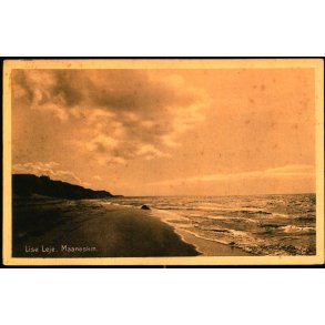 Lise leje - Maaneskin - Albert jensens Bogh. 38490