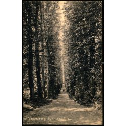 Fredensborg - Sukkenes All - S. Nielsen 6249