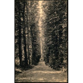 Fredensborg - Sukkenes All - S. Nielsen 6249