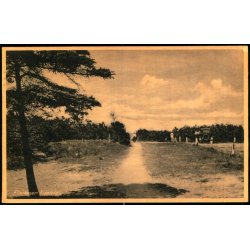 Plantagen - Liseleje - H.O. Hansens Bogh. 86228 - Brugt