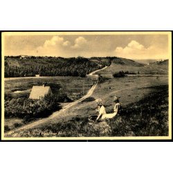 R�ge Mark mod Heather Hill - H.H. 90067 - Brugt