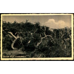 Tisvilde Hegn - Troldeskoven - Rudolf Olsen  u/n - Brugt